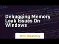 Debugging memory leak issues on windows