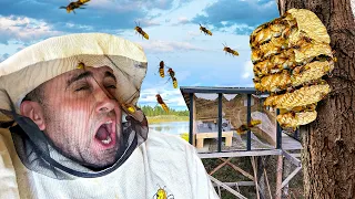 ЖЕСТЬ! Покусали Шершни! Выгоняю рой из домика на дереве 24 часа Поставил сеть и вершы