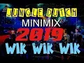Download Lagu JUNGLE DUCTH MINIMIX PARTY 2019 WIK WIK WIK
