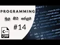 C Programming Sinhala - How to Use Multiply Operator