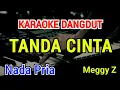 Download Lagu TANDA CINTA - Karaoke Nada Pria [ Meggy Z ]