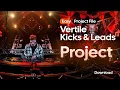 Vertile Kicks AND Leads + [NO SLEEP PROJECT FILE DOWNLOAD]