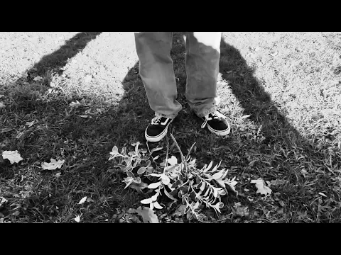the trick trailer