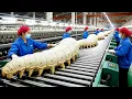 Inside the Silk Factory From Cocoons to Luxury Fabrics | Production Process