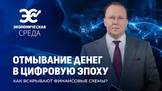 Финансовые прачечные в сети. Как отмывают миллиарды? Экономическая среда