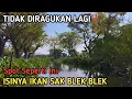 Download Lagu ISTIMEWA❗Ikan Nila SAK BLEK BLEK Merajalela Di Spot Ini