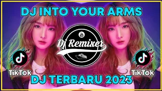 Download DJ BARAT INTO YOUR ARMS TERBARU 2023🎶 MP3