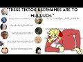 Reading people s strangest and funniest TikTok usernames