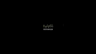 ه ر ون أ خ ي الشيخ عبد الباسط عبدالصمد سورة طه شاشة سوداء كروما قرآن Shorts  ه ر ون أ خ ي الشيخ عبد الباسط عبدالصمد سورة طه شاشة سوداء كروما قرآن Shorts
