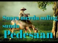 Download Lagu Kecapi suling sunda dalam panorama alam menakjubkan