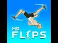 Mr flip again