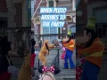 Download Lagu Who let Pluto 🐶 out? #funny #dog #disneyland #reddspirates #fab5 #pluto