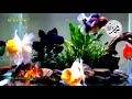 Download Lagu MERDUNYA SHOLAWAT JIBRIL | USIR STRES - Bikin hati tenang dan Adem | Rezeki Lancar | Dadan Wijaya