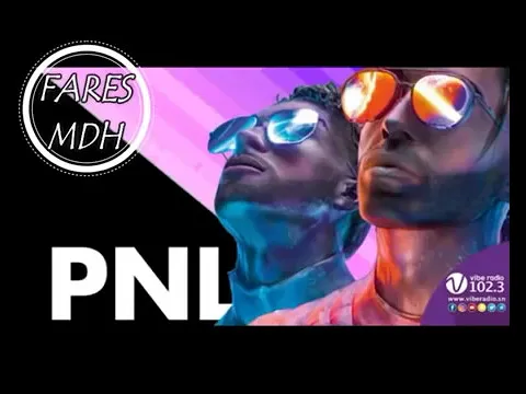 Download MP3 PNL - album - Deux frères [Complet]