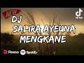 Download Lagu DJ SALIRA AYEUNA MENGKANE TIKTOK [ ADITYADUTCH ]