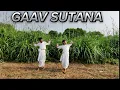 Download Lagu GAAV SUTANA DANCE PERFORMANCE | FOLK DANCE