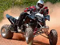 Hillbilly Deluxe