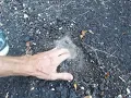 MVI 3165 ASPHALT MILLINGS DRIVEWAY WATER TEST