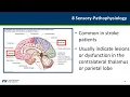 Monthly Stroke Webinar NIHSS Review November 2019