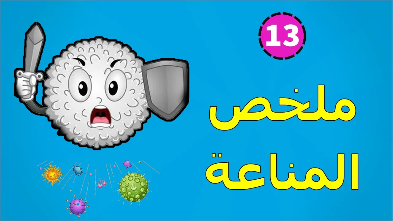 13 - ملخص المناعة ⚔️ .