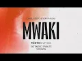 Download Lagu Mwaki (Tiësto's VIP Mix) [Extended Mix] - Zerb, Soiya Nazu