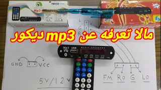                                               دندنها
