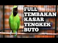 Download Lagu FULL ISIAN KASAR TENGKEK BUTO VS KAPAS TEMBAK.