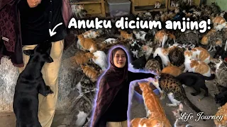 DAY 1 HIDUP BARENG RATUSAN ANABUL.. #lifejourney 