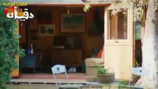 مهرجان بحر مالح   ماموتش انا ايوة ماموتش    تصميم جامد خاص بالقناة دندنها