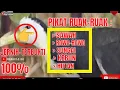 Download Lagu suara pikat ruak ruak sawah rawa sungai kebun ngumpul semua jadi satu dan sudah terbukti #mbakule88