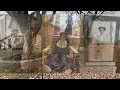 Buried and Forgotten - Secrets of Fairfield county Infirmary cemetery-Causes of death-Lancaster Ohio