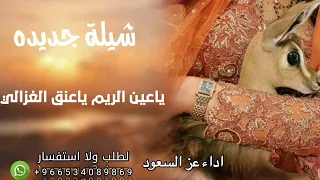 شيلة جديده      ياعين الريم ياعنق الغزالي  اداء عز السعود  دندنها