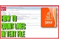 JAVA How to count lines in text file