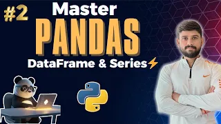 Pandas for Data Analysis DataFrame Series Explained Mini Project
