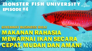 Download RAHASIA MEWARNAI IKAN YANG MUDAH CEPAT DAN AMAN! MODAL TIPIS UNTUNG BERLAPIS MONSTER FISH UNIVERSTIY MP3