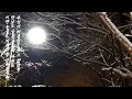 아름다운 이별 Beautiful farewell /김건모