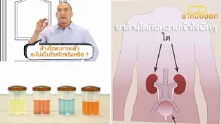  ทำไมปัสสาวะถึงเปลี่ยนสีเมื่อกินยาบางชนิด และสีของปัสสาวะบ่งบอกถึงโรคไตได้หรือไม่ 