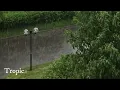 Tropical WIND on a RAINY Day-Rain and Thunder Sounds for SLEEP & Relaxation