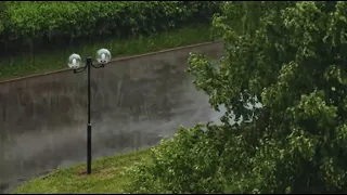 Tropical WIND On A RAINY Day Rain And Thunder Sounds For SLEEP Relaxation 