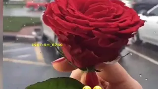 يا هلا بالخميس دندنها