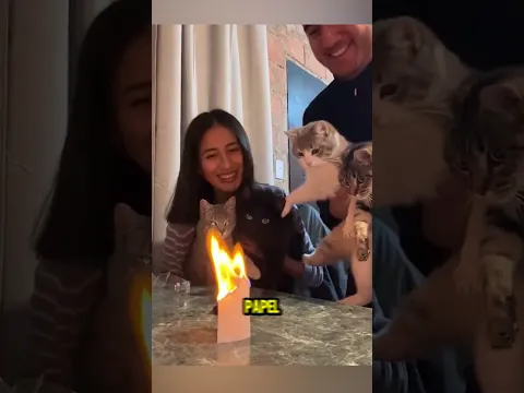 CUIDADO con tu GATO al hacer ESTO😨🙀