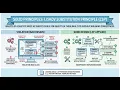 SOLID Principles Liskov Substitution Principle LSP