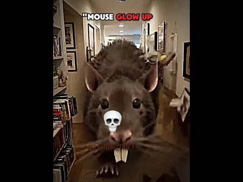 Mouse Glow Up 💀