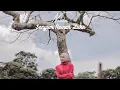 Download Lagu Nabila - Senyum Nemah Luke (Official Music Video)