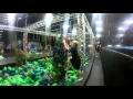 Plex HiWire - Irmo Park Trampoline Park Ice Skating