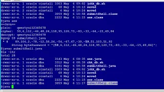 Java Script for Hiding Password when submit Linux Shell scripts