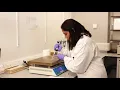 CytoCell haematology FISH protocol
