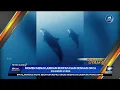 Download Lagu METRO TV | Jeda Iklan + OP Metro Siang