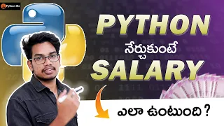 What is the Salary for Python Developer How Much Salary can I expect after Learning Python