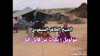 الشيخ الطاهر المسعودي مواويل ولا أروع بكرت من ڨابل التل جابتني طريڨ البويرة 